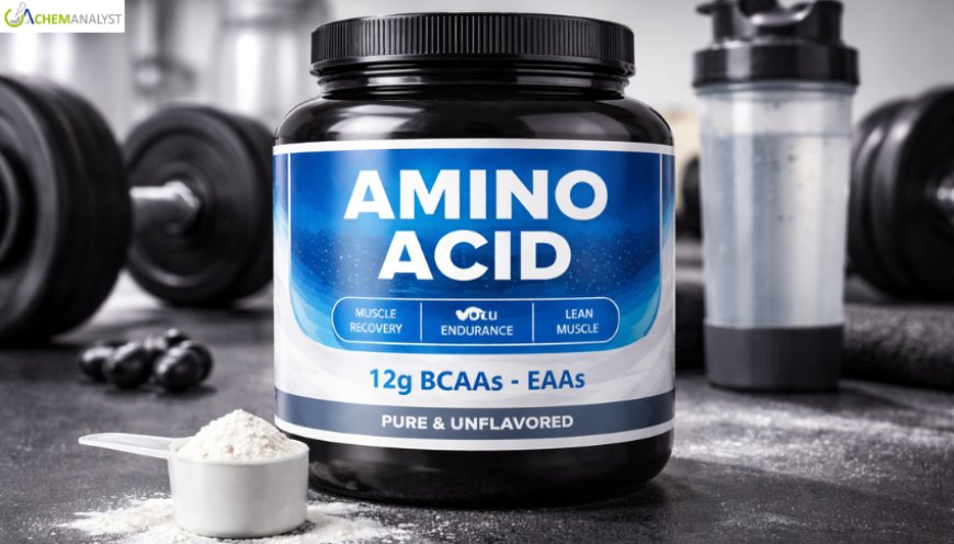 Amino Acid Market Outlook 2026: Trends, Growth Drivers, and Future Opportunities