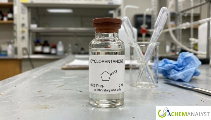 Cyclopentanone Market: Global Trends, Growth Analysis, and Forecast Outlook