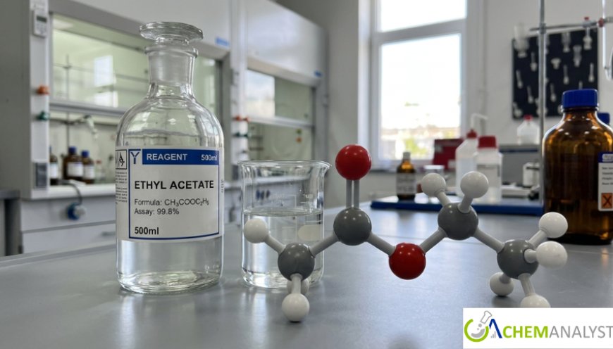 Ethyl Acetate Market: Global Trends, Growth Analysis, and Forecast Outlook