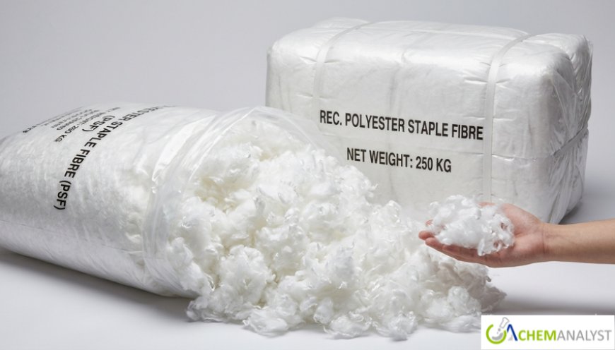 Polyester Staple Fibre Market Outlook: Growth Driven by Textile Demand and Sustainable Fiber Trends