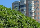 Embassy Serenity – What Sets This 7-Acre Project Apart?