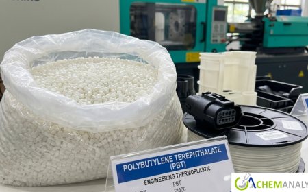 Polybutylene Terephthalate Market: Global Trends, Growth Analysis, and Forecast Outlook