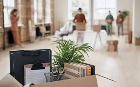 How Commercial Moving Companies in Alexandria, VA Handle Large Office Relocations