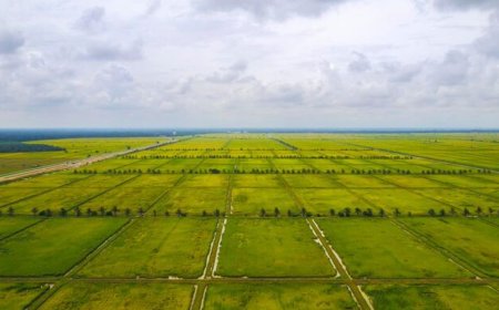 Mahindra Green Estates – Build Your Dream Home in Chennai