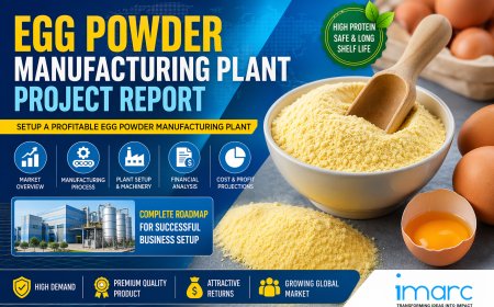Egg Powder Manufacturing Plant DPR & Unit Setup – 2026: Demand Analysis and Project Cost