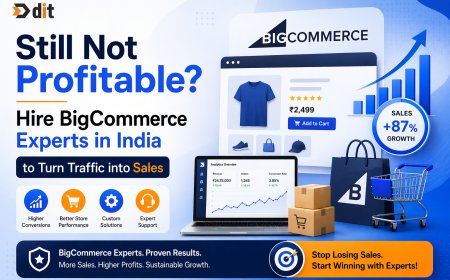 Still Not Profitable? Hire BigCommerce Experts in India to Turn Traffic into Sales