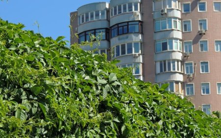 Embassy Serenity – What Sets This 7-Acre Project Apart?