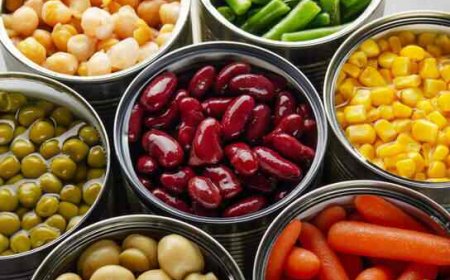 Canned Vegetables Manufacturing Plant Cost 2026: Detailed Project Report, Investment Outlook & Profit Analysis
