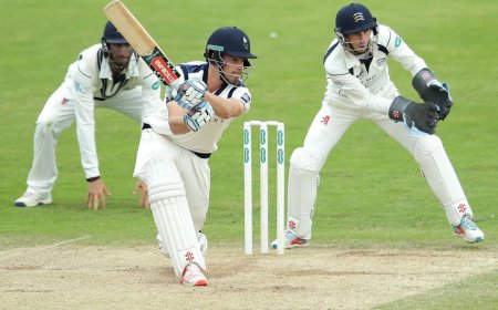 Online Cricket ID A Simple Way to Stay Connected with Cricket Without Stress