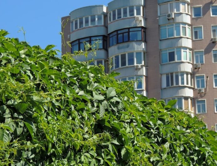 Embassy Serenity – What Sets This 7-Acre Project Apart?