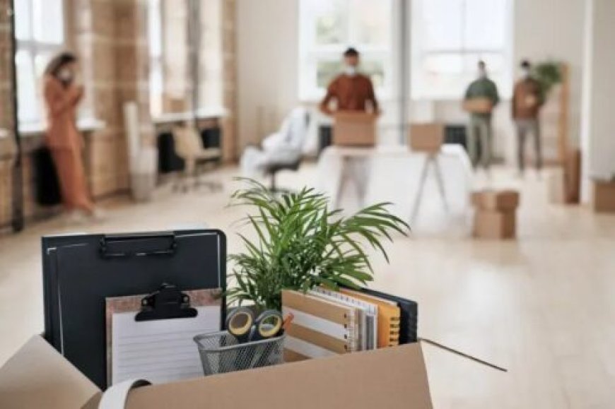 How Commercial Moving Companies in Alexandria, VA Handle Large Office Relocations