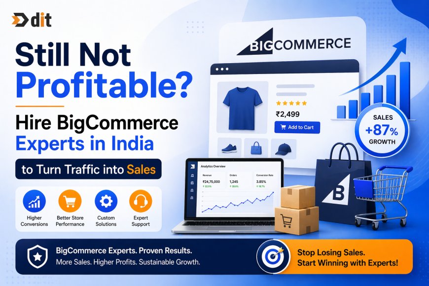 Still Not Profitable? Hire BigCommerce Experts in India to Turn Traffic into Sales