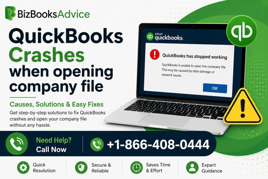 QuickBooks Crashes When Opening Company File: Causes & Fix Guide