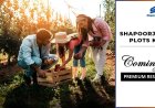 Shapoorji Pallonji Khopoli Plots for Smart Investment