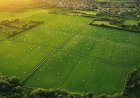 Mahindra SEZ Jaipur: A Profitable Choice for Commercial Plot Investment
