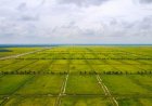 Godrej Plots Vrindavan – A Perfect Destination for Future Homebuyers