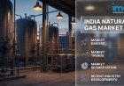 3.48% CAGR Growth Forecast: The India Natural Gas Market Research Report and 87.2 Billion SCM Strategic Outlook