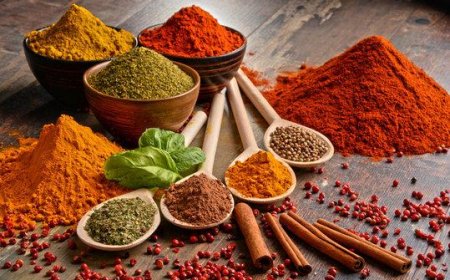 Cost of Setting Up a Spice Processing Plant 2026: Demand Analysis and ROI