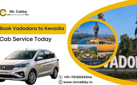 Hire Comfortable Vadodara to Kevadia Cab Today