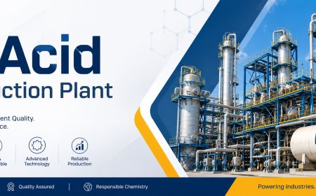 H-Acid Production Plant Project Report: CapEx, OpEx & Profitability Analysis