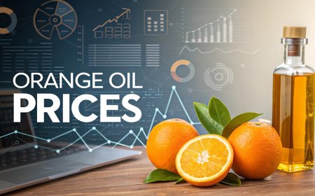 Orange Oil Price Chart Analysis with Price Index and Forecast Prices