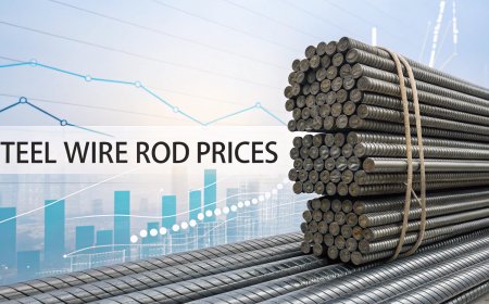 Steel Wire Rod Prices Trend Analysis with Price Index and Quarterly Forecast Prices