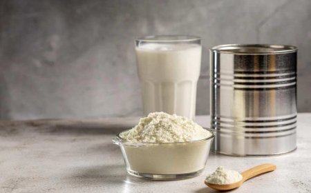 Milk Powder Manufacturing Plant Project Report: Industrial Setup, Licensing & Cost Structure