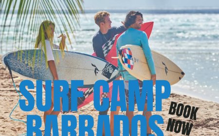 Your Trusted Surf Shop Barbados for Lessons, Gear & Local Expertise