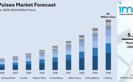 India Pulses Market 2026: Growth Trajectory, Trends, Emerging Opportunities & Forecasts by 2034