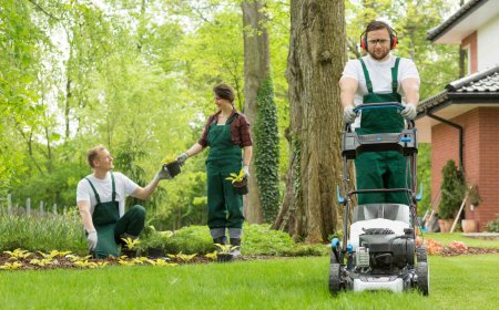 How Regular Garden Cleaning Enhances Property Value