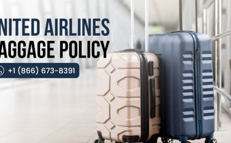 3. United Airlines Baggage Guide: What You Can Pack and What Costs More