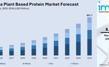 Australia Plant Based Protein Market Projected to Reach USD 621.7 Million by 2034