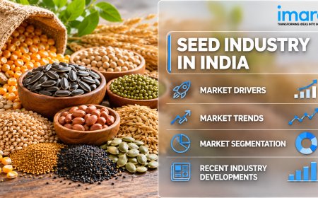 India Seed Industry 2026: Market Trends and Forecast Outlook 2034