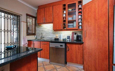 From Classic to Contemporary: Best Styles by a Premium Kitchen Cabinets Seller in Apopka FL