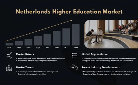Netherlands Higher Education Market Share, Forecast & Growth 2034