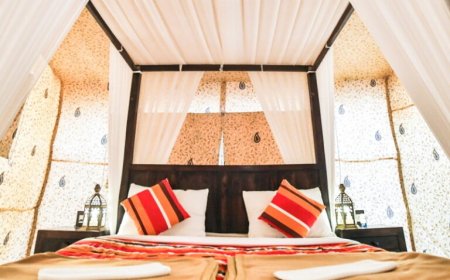 Experience the Magic of the Rann of Kutch Festival with the Perfect Stay