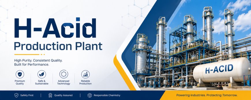 H-Acid Production Plant Project Report: CapEx, OpEx & Profitability Analysis
