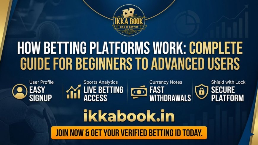 How Betting Platforms Work Complete Guide