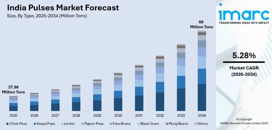India Pulses Market 2026: Growth Trajectory, Trends, Emerging Opportunities & Forecasts by 2034