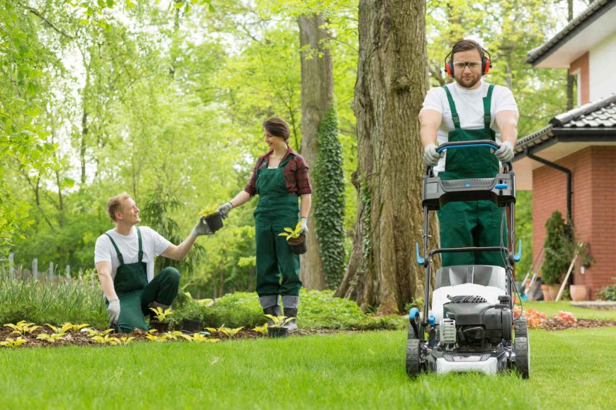 How Regular Garden Cleaning Enhances Property Value