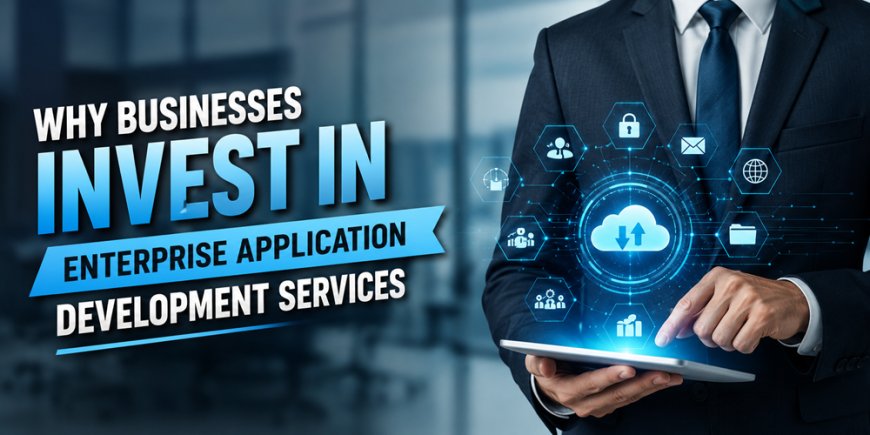Why Businesses Invest in Enterprise Application Development Services