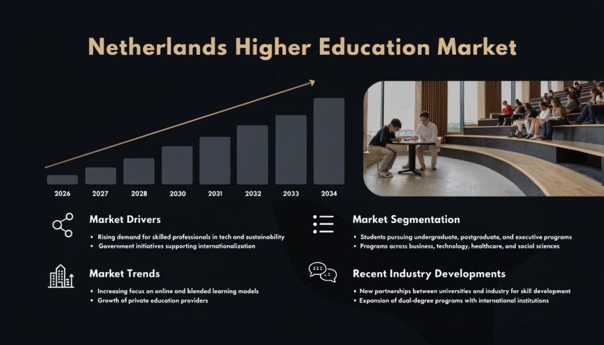 Netherlands Higher Education Market Share, Forecast & Growth 2034