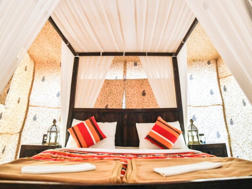 Experience the Magic of the Rann of Kutch Festival with the Perfect Stay