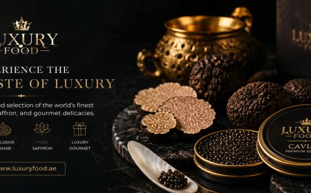 Osetra Caviar and Fresh Oyster Pairings for Sophisticated Dining