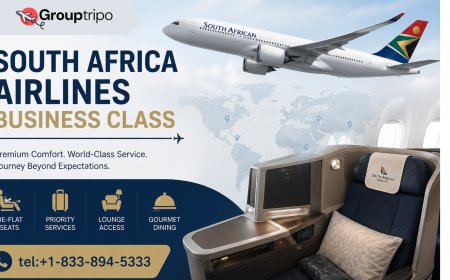 South Africa Airlines Business Class Booking Tips: How Travelers Are Saving Money in 2026