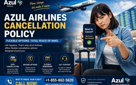 Complete Guide to Azul Airlines Cancellation Policy and Other Rules