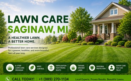Lawn Care Saginaw MI: Keep Your Lawn Healthy Year-Round with Imperial Services
