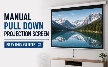 Manual Pull Down Projection Screen Buying Guide