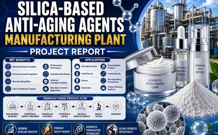 Silica-Based Anti-Aging Agents Manufacturing Plant Feasibility Report 2026: Investment, Raw Materials & Profitability