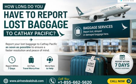 How to Report Lost Baggage to Cathay Pacific Step-by-Step Guide
